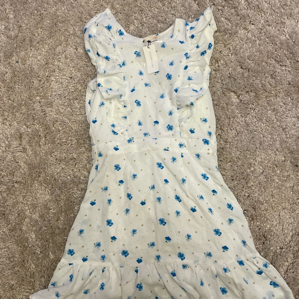 Sugarlips Blue and White Flutter Sleeve Sundress
